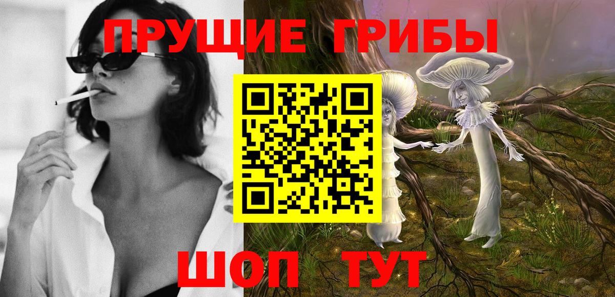 Киселёвск  Псилоцибиновые грибы Psilocybe  даркнет сайт  Вход с VPN  Галлюциногенные грибы Magic Shrooms 